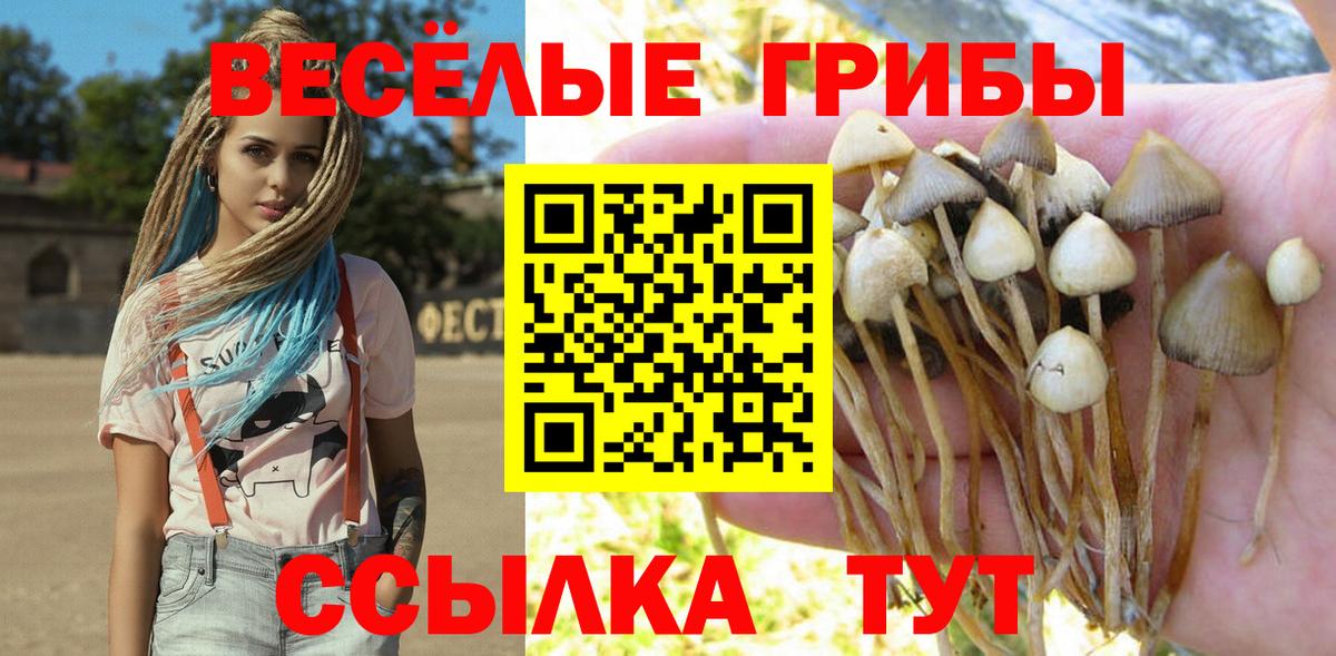 Псилоцибиновые грибы GOLDEN TEACHER  наркошоп  Новочебоксарск  Вход с VPN 