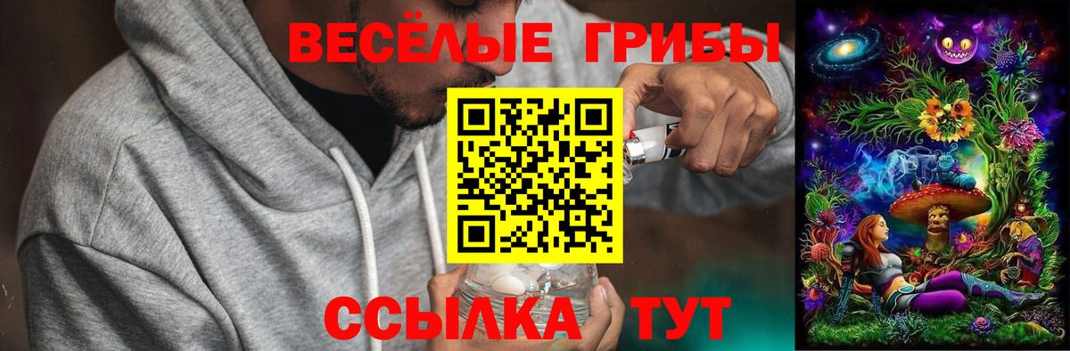Галлюциногенные грибы Magic Shrooms Новочебоксарск